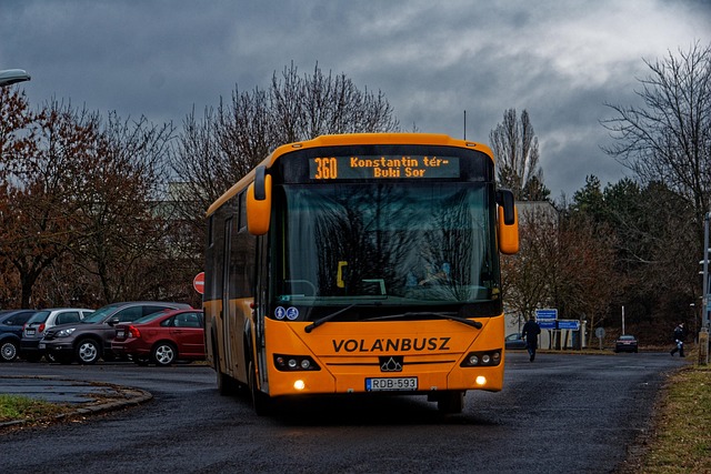 Booking a Bus Hire Service in Dubai